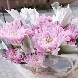 Meet your Posher, Catherine